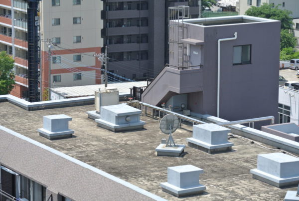 屋上緑化と防水工事の関係
